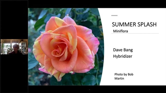 New Roses for 2021 Webinar